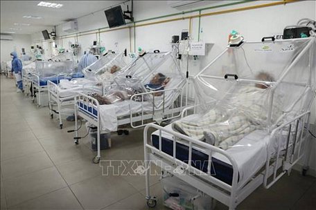 Bệnh nhân nhiễm COVID-19 điều trị tại bệnh viện ở Manaus, Brazil, ngày 20/5/2020. Ảnh minh họa: AFP/TTXVN