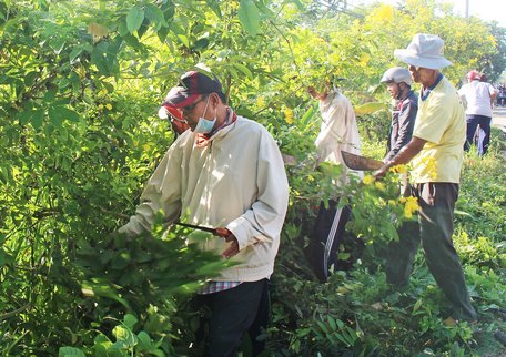 Cán bộ, hội viên nông dân xã Long Mỹ cùng làm cỏ và rong mé cây nhằm tạo cảnh quan sạch đẹp, thông thoáng.