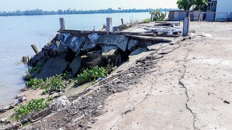 Khai thác cát trái phép khiến nhiều nơi bị sạt lở. Trong ảnh: Hiện trạng sạt lở tại khu vực cồn Đồng Phú.