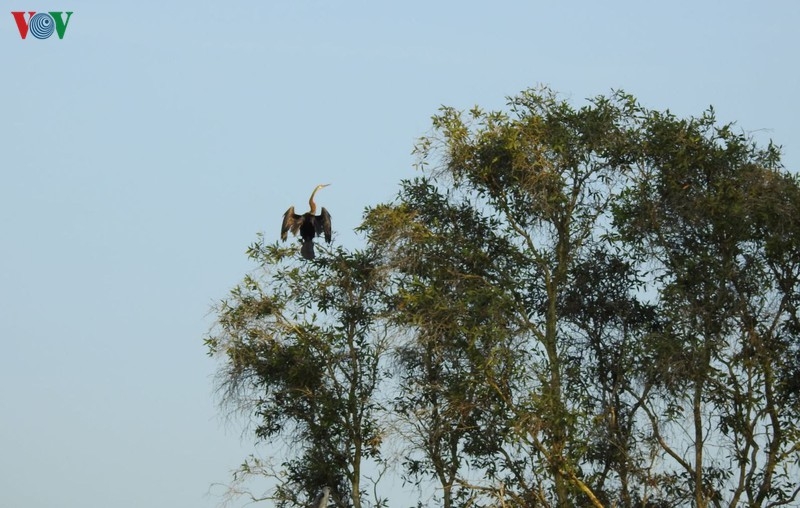 Du khách sẽ có những trải nghiệm thú vị khi đến Vườn quốc gia Tràm Chim.