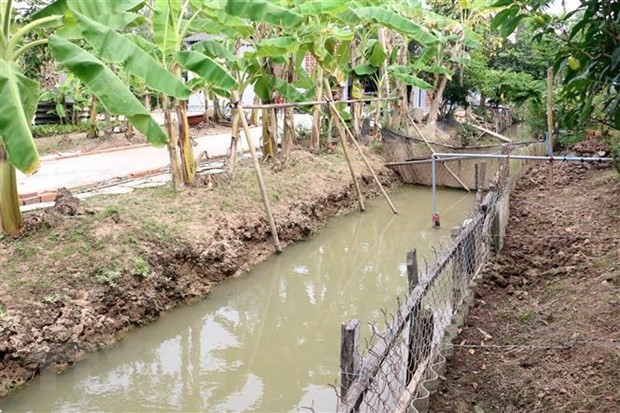 Trữ nước ngọt trong mương là cách các nhà vườn ở Bến Tre ứng phó với hạn, mặn. (Nguồn ảnh: TTXVN) 