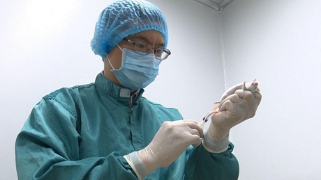 Vaccine Covid-19 của Việt Nam đang được thử nghiệm trên chuột cho hiệu quả khả quan.