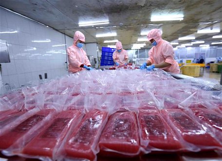 Cấp đông sản phẩm cá ngừ đại dương xuất khẩu tại nhà máy của Công ty Cổ phần Bá Hải. Ảnh: Vũ Sinh/ TTXVN.