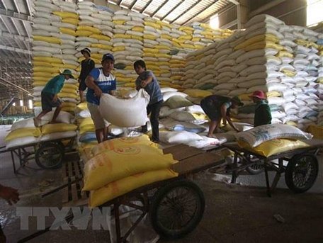 Chuẩn bị nguồn hàng gạo xuất khẩu tại Công ty Lương thực sông Hậu (Tổng công ty Lương thực miền Nam). (Ảnh: Vũ Sinh/TTXVN)