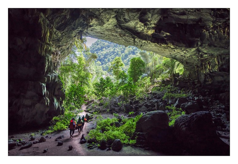 Cuối hang Tiên 1 là một vòm hang bước tới khu rừng nguyên sinh tuyệt đẹp với các cây cổ thụ.