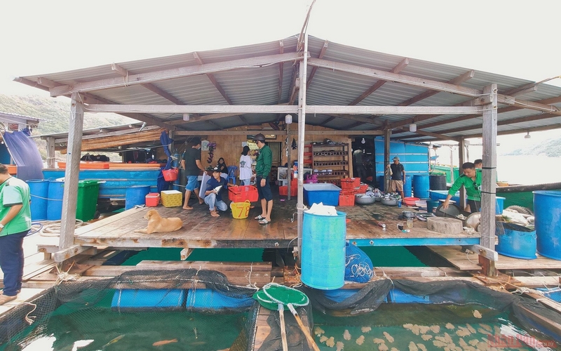 Tại đây khách du lịch vừa tham quan cuộc sống làng chài, vừa có thể ăn uống, mua hải sản ngay trên bè…