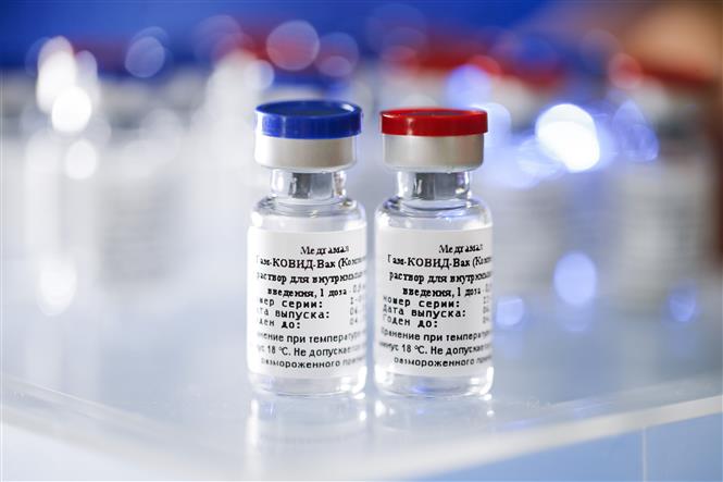 Vaccine phòng COVID-19 do Trung tâm Nghiên cứu quốc gia về dịch tễ học và vi sinh vật Gamaley (Nga) phát triển. Ảnh: AFP/ TTXVN