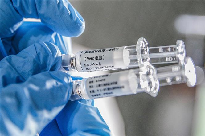Mẫu vaccine phòng COVID-19 của Sinovac được giới thiệu tại Bắc Kinh, Trung Quốc, ngày 16/3/2020. Ảnh: THX/TTXVN