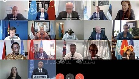 Ngày 25/8/2020, Hội đồng Bảo an Liên hợp quốc đã họp trực tuyến thảo luận về tình hình Trung Đông, bao gồm vấn đề Palestine. Ảnh: TTXVN
