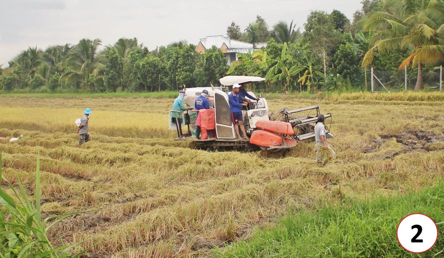 Cùng với tiến trình xây dựng NTM, nông nghiệp được cơ giới hóa mạnh mẽ, tạo thuận lợi cho nông dân trong sản xuất lúa. Thay vì phải vác lúa đi suốt (ảnh 1) thì nay máy gặt đập liên hợp đã giải phóng sức lao động cho nông dân (ảnh 2).