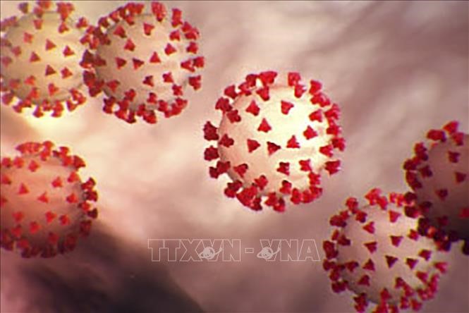 Các nhà khoa học Australia đã phát triển một công cụ mới giúp tháo gỡ vấn đề đột biến gene ở virus SARS-CoV-2. Ảnh: TTXVN