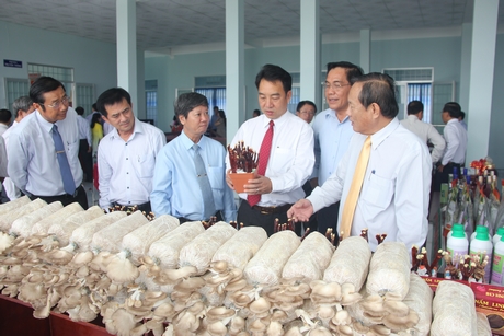 Chủ tịch UBND tỉnh Lữ Quang Ngời trong một lần tham quan sản phẩm khoa học- công nghệ.