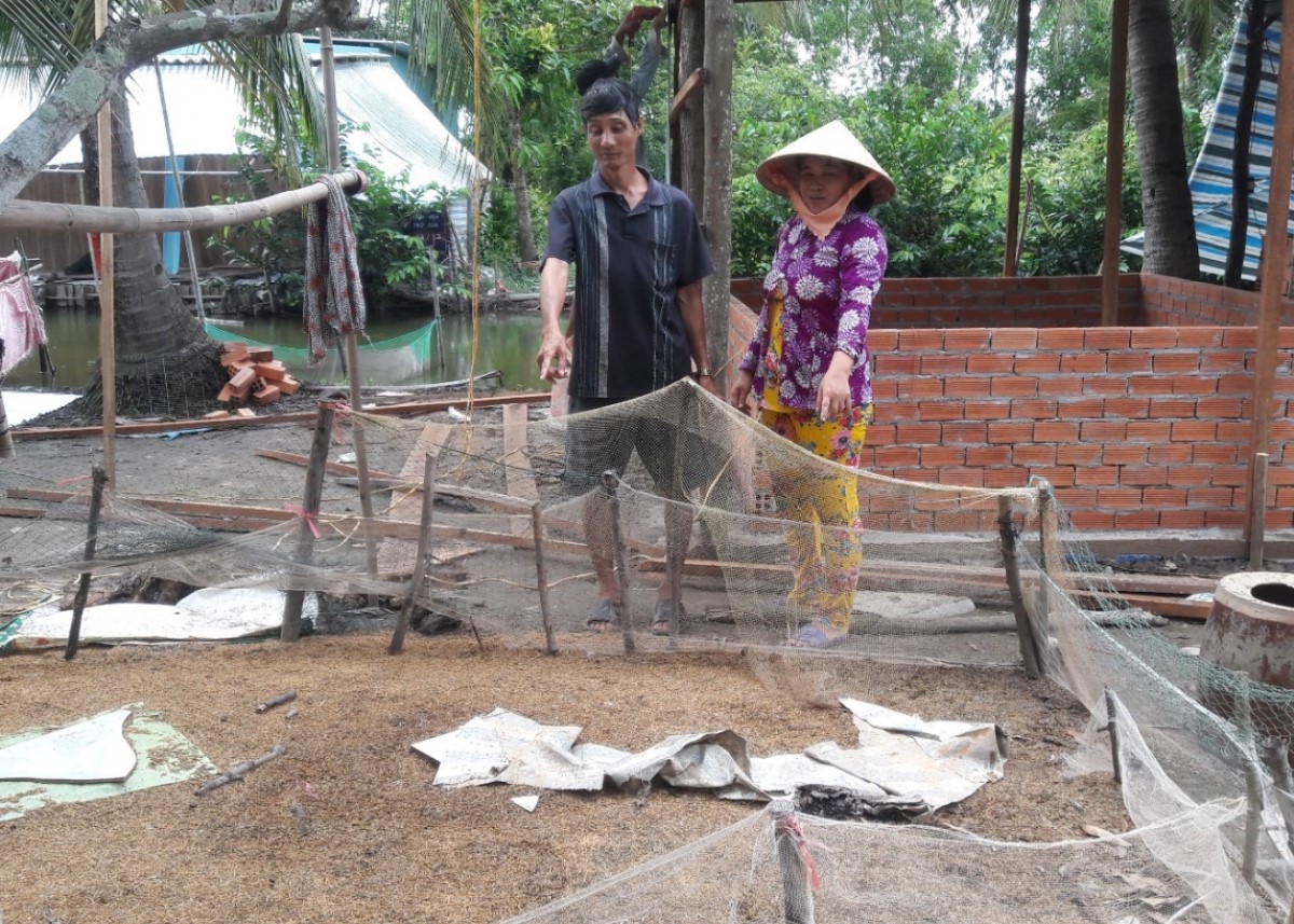 Cơ quan chức năng đã nhanh chóng tiêu hủy số gia cầm của gia đình ông Phạm Văn Bảy.