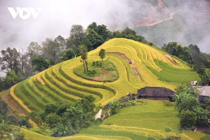 Những homestay được làm trên đỉnh núi Bản Phùng là điểm dừng chân lí tưởng cho du khách.