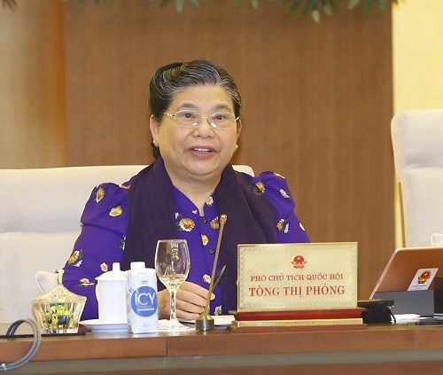 Phó Chủ tịch Thường trực Quốc hội Tòng Thị Phóng phát biểu tại phiên họp - Ảnh: VGP/Lê Sơn