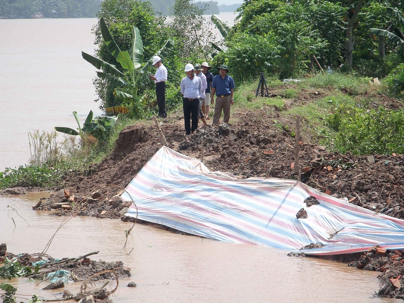 Ngay sau khi sự cố xảy ra, đoàn công tác của Sở Nông nghiệp- PTNT, UBND huyện Vũng Liêm đã đến khảo sát chỉ đạo khắc phục sự cố sạt lở.
