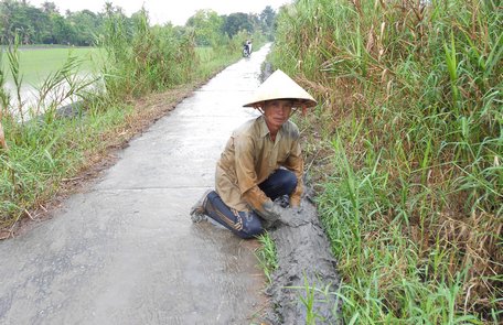 Ở nơi đường giao thông thấp hơn, nông dân phải be thêm “bờ cơm nếp” để ngăn nước bảo vệ đồng ruộng, vườn tược.