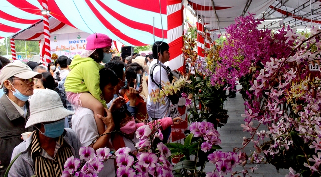 Đông đảo người dân địa phương và khách du lịch đến thưởng thức vẻ đẹp của những giò hoa từ khắp mọi miền Tổ quốc.