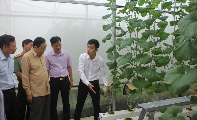 Khảo sát mô hình trồng rau và dưa lưới của HTX Mekong Green.