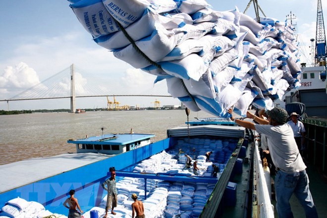 Giá gạo xuất khẩu của Việt Nam tăng trong tuần này nhờ các đơn hàng mới của Philippines và Trung Quốc khi mùa Đông sắp bắt đầu và lượng mưa ít làm dấy lên sự quan ngại về nguồn cung. Ảnh minh họa: TTXVN