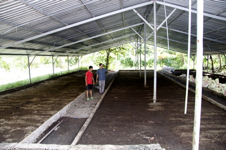 Trại nuôi trùn quế của HTX Nông nghiệp Thuận Thới