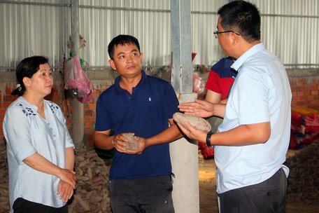 Thông qua chương trình OCOP Vĩnh Long, doanh nghiệp tiếp cận với vùng nguyên liệu khoai lang Bình Tân để tiến tới ký kết hợp tác cung cầu. 