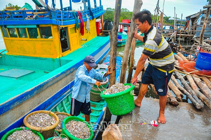 Các loại hải sản được tập kết tại khu vực thu mua.