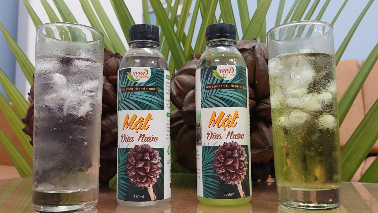 Sản phẩm mật dừa nước đóng chai mở ra triển vọng nâng cao giá trị kinh tế cho cây dừa nước.