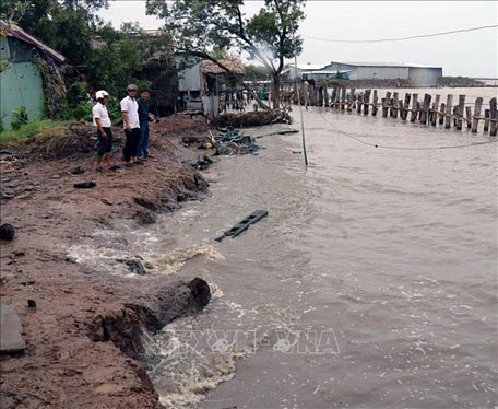 Bờ biển khu vực Tiểu Dừa, xã Vân Khánh Tây (An Minh, Kiên Giang) sạt lở đặc biệt nguy hiểm.  Ảnh tư liệu: Huy Hải/TTXVN