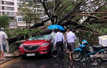 Mưa gió làm đổ cây đè ô tô, khiến người mắc kẹt trong xe ở khu Phú Mỹ Hưng (Quận 7- TP Hồ Chí Minh) chiều 12/4.