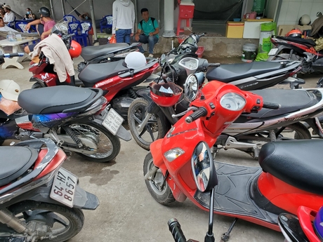 Xe gắn máy của những người tham gia đá gà bị công an tạm giữ.