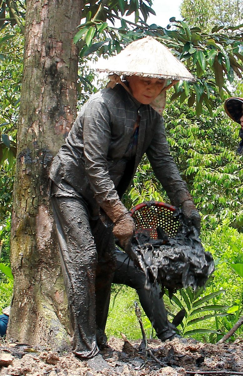 Cô Nguyễn Thị Phước (72 tuổi) cần mẫn chăm sóc vườn sầu riêng gần 20 năm tuổi của mình sau 1 vụ “được giá thất mùa”.