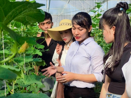 Sinh viên tham quan học hỏi ở Peace Farm của thạc sĩ Lê Ngọc Hiền.