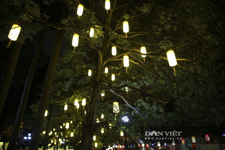 Khu vườn hoa cũng được gắn những chiếc đèn lồng lên thân cây tạo cảnh quan môi trường sạch, đẹp và lạ mắt.
