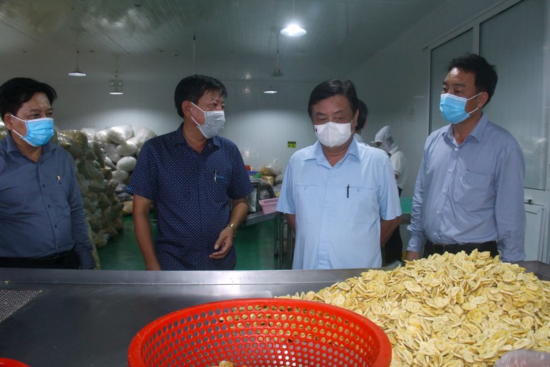 Theo ông Trần Hoàng Đông- Giám đốc công ty, bên cạnh sản xuất hàng trữ cấp đông nguyên liệu khoai lang, Đông Phát Food còn chế biến các mặt hàng khác như mít, chuối, khoai môn… sấy.