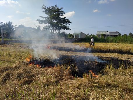 Nông dân ở xã Phước Hậu (Long Hồ) đốt đồng sau khi cắt lúa Đông Xuân để trồng rau (ảnh chụp hồi đầu tháng 3/2021).