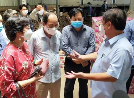 Liên kết sản xuất để chủ động thị trường. Trong ảnh: Bộ trưởng Lê Minh Hoan đến thăm một cơ sở chế biến, đóng gói khoai lang tại Bình Tân.