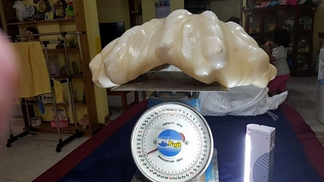 Viên ngọc trai khổng lồ có trọng lượng lên tới 34kg được phát hiện thấy ở Philippines.