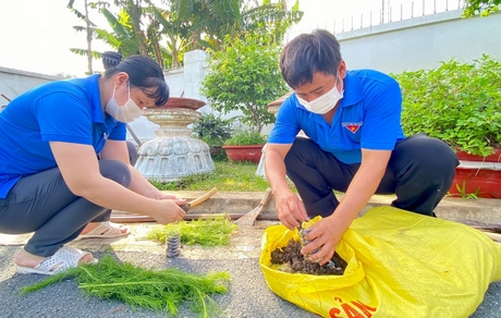 Chị Nguyễn Thị Mỹ Hạnh thực hiện mô hình “Vườn ươm thanh niên”.