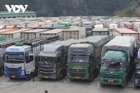  Tại Lạng Sơn hàng nghìn xe nông sản bị ùn tắc chưa được thông quan.