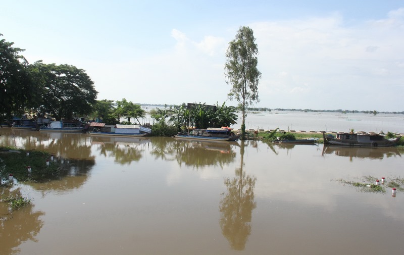 Những người sống nghề lưới cá “đón lũ” đã cặm xào bên cánh đồng 3 xã bờ Đông huyện An Phú, nhưng trên cánh đồng nước còn khá thấp so với mọi năm.