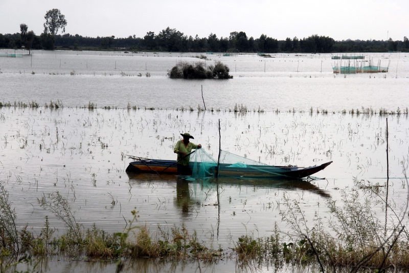 Nước lên đồng ít, nhiều người dân thất vọng vì mất mùa thu hoạch thủy sản.
