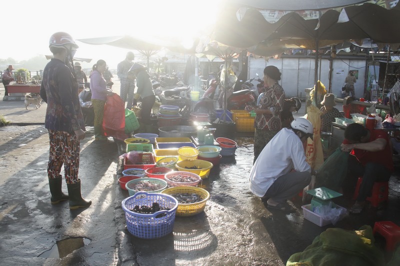 Trong khi tại chợ lớn như ở Mộc Hóa (Long An), khu mua bán cá, ếch, chuột, rắn… mùa nước nổi cũng rất thưa thớt.