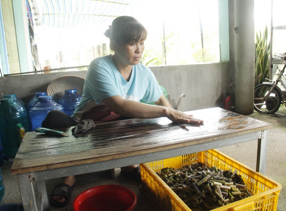 Còn chị Thảo ở huyện Tân Hưng và một số chị em có nghề xe chỉ tơ sen, khéo léo, siêng năng và tỉ mỉ, mỗi tháng làm thành phẩm 100-150g, thu nhập thêm hơn 3 triệu đồng. Hiện mỗi ký chỉ tơ sen có giá không dưới 30 triệu đồng. 