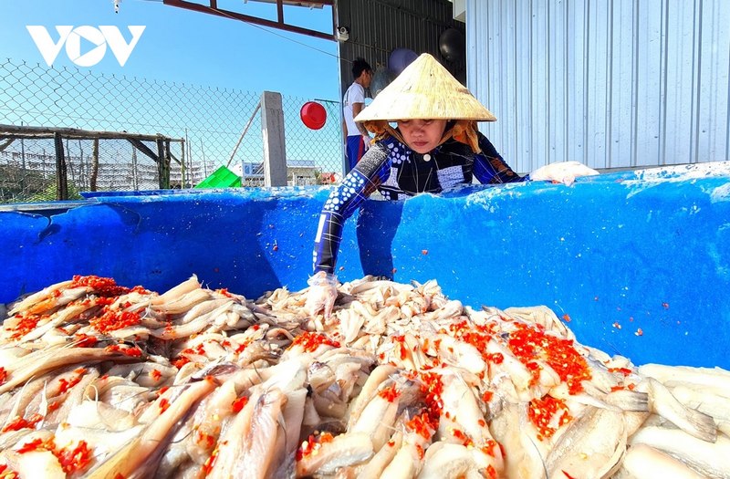 Nhóm sản phẩm được bảo hộ là cá khoai tươi, cá khoai khô và các sản phẩm chế biến từ cá khoai Cái Đôi Vàm.