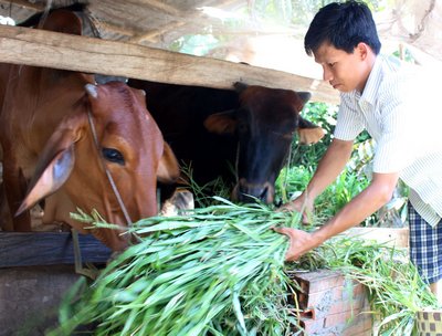 Gia đình anh Nguyễn Phú Quí đã thoát nghèo, kinh tế ổn định. 
