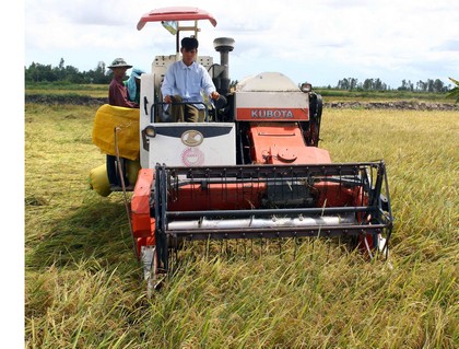 Tổ sản xuất lúa giống chất lượng cao với gần 30 thành viên tham gia làm kinh tế giỏi.