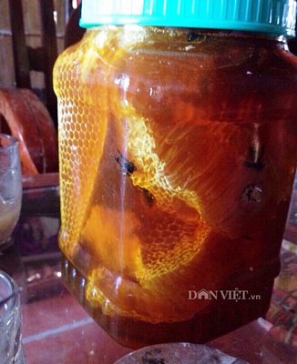 Mật ong rừng U Minh có vị ngọt thanh và màu vàng hổ phách đặc trưng.