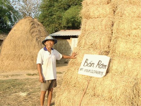  Nông dân Nguyễn Văn Reo (xã Vinh Kim, huyện Cầu Ngang- Trà Vinh) “kinh doanh” rơm cuộn mùa này khá hiệu quả.