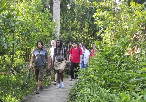 Khách du lịch khám phá vườn cây ăn trái cù lao Long Hồ.
